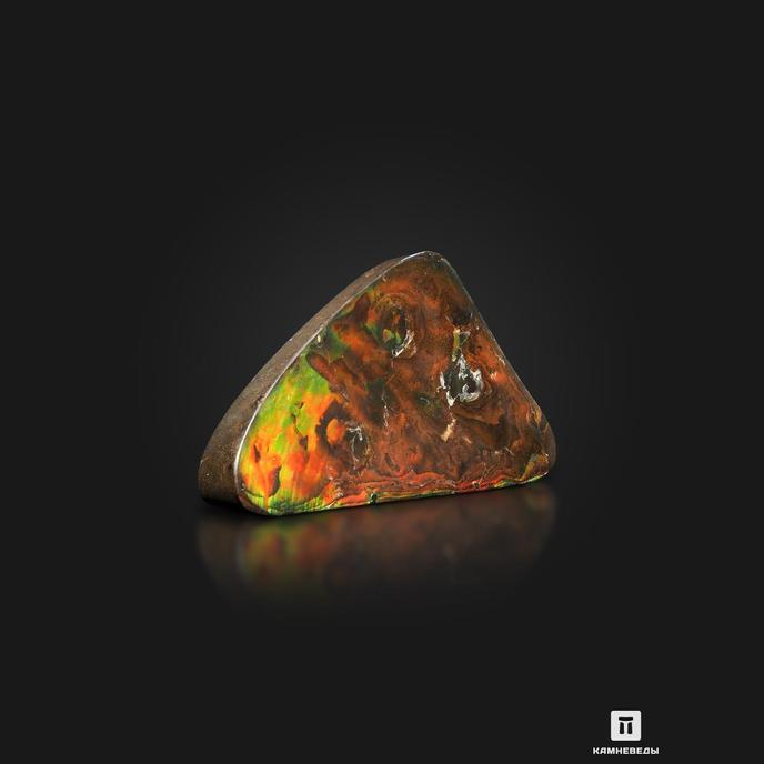 Аммолит (ископаемый перламутр аммонита), 18,2х9,2х2 см