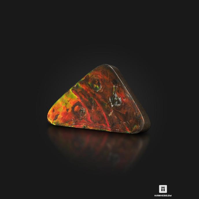 Аммолит (ископаемый перламутр аммонита), 18,2х9,2х2 см
