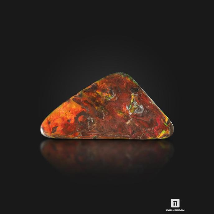 Аммолит (ископаемый перламутр аммонита), 18,2х9,2х2 см