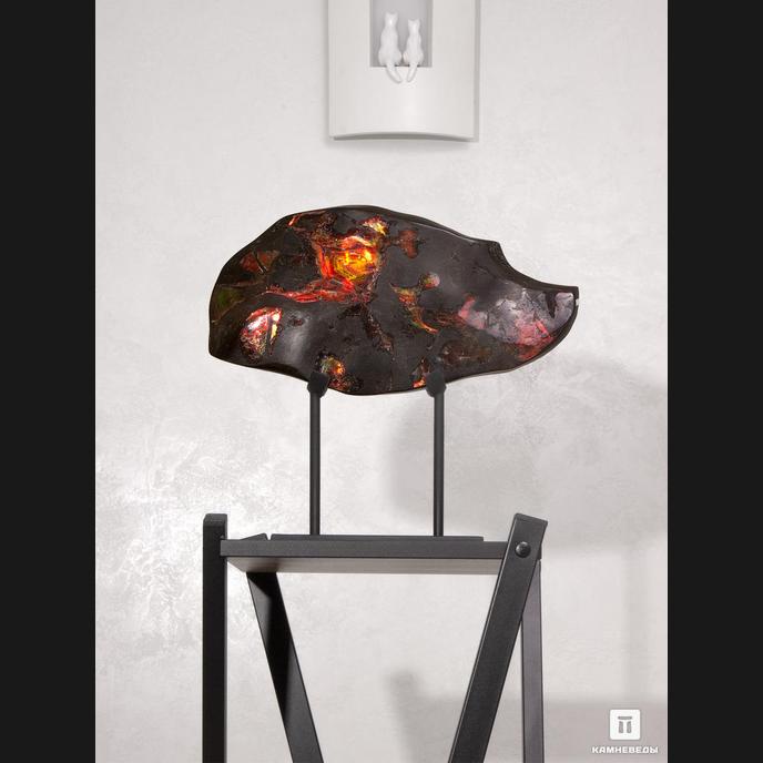 Аммолит (ископаемый перламутр аммонита), 36,2х19х3,8 см