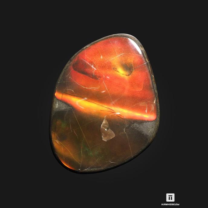 Аммолит (ископаемый перламутр аммонита), 9,2х6,8х0,5 см