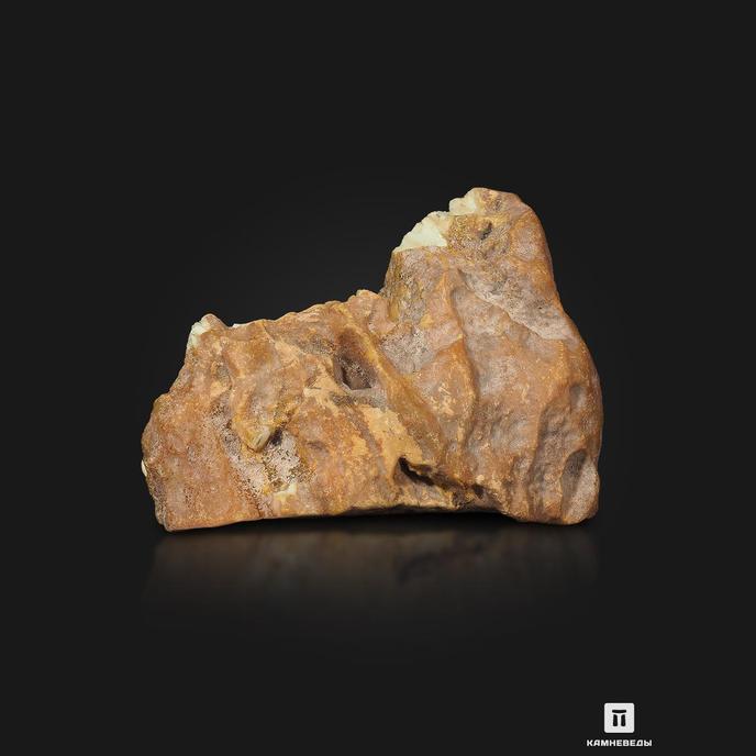 Янтарь необработанный, 12х9,2х6,2 см
