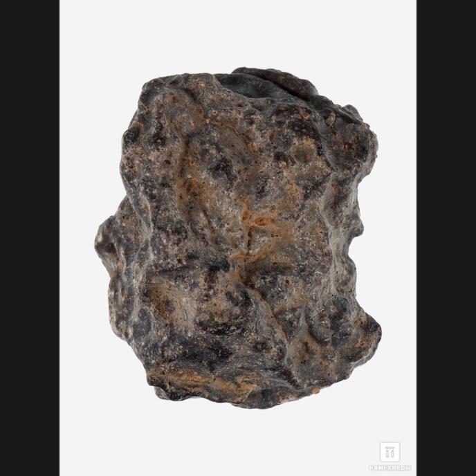 Лунный метеорит Bechar 003, 1,4х1,1х0,8 см