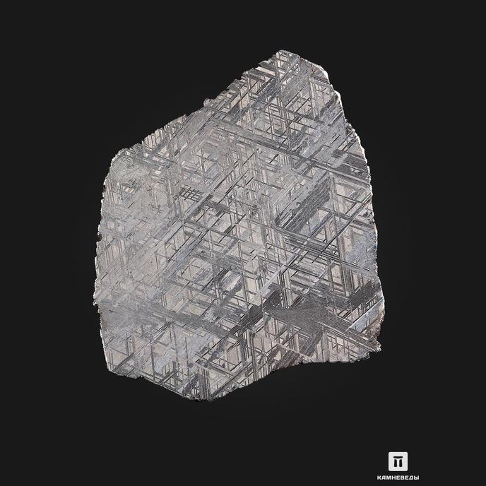 Метеорит Muonionalusta, пластина 13,3х11,7х0,16 см (125