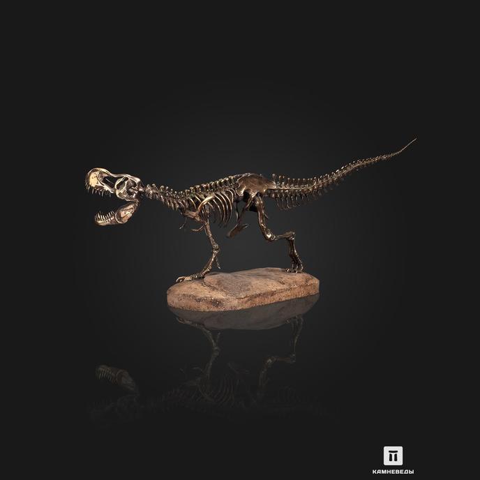Модель скелета динозавра TYRANNOSAURUS