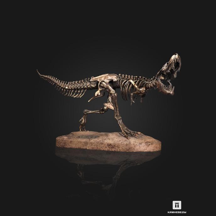 Модель скелета динозавра TYRANNOSAURUS