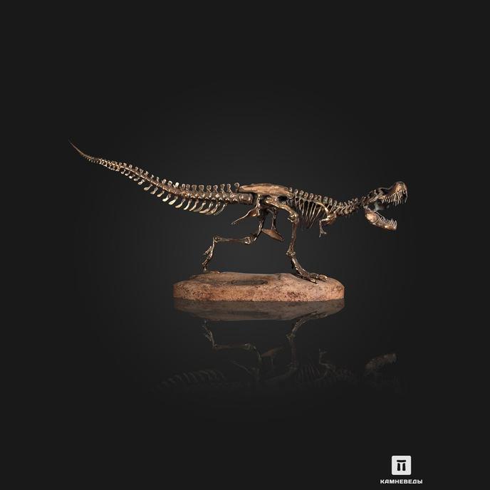 Модель скелета динозавра TYRANNOSAURUS