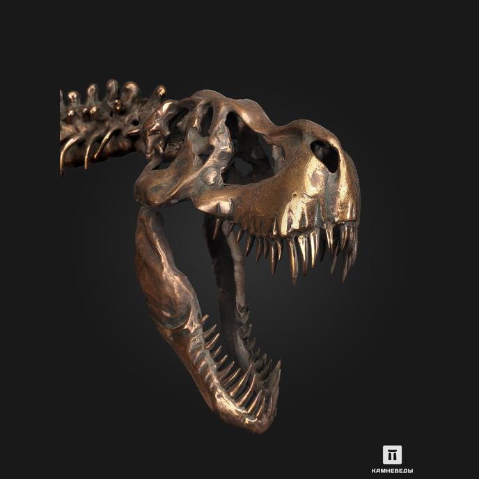 Модель скелета динозавра TYRANNOSAURUS