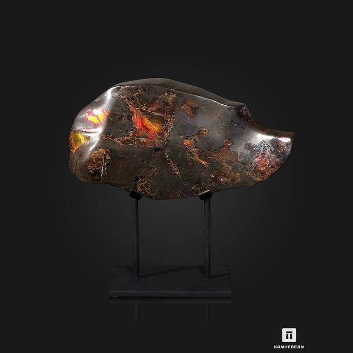 Аммолит (ископаемый перламутр аммонита), 36,2х19х3,8 см
