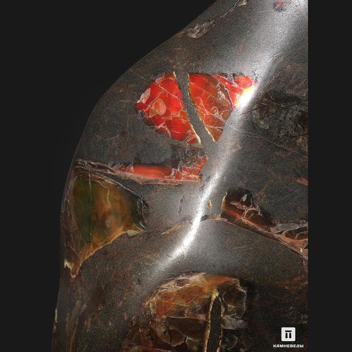 Аммолит (ископаемый перламутр аммонита), 36,2х19х3,8 см